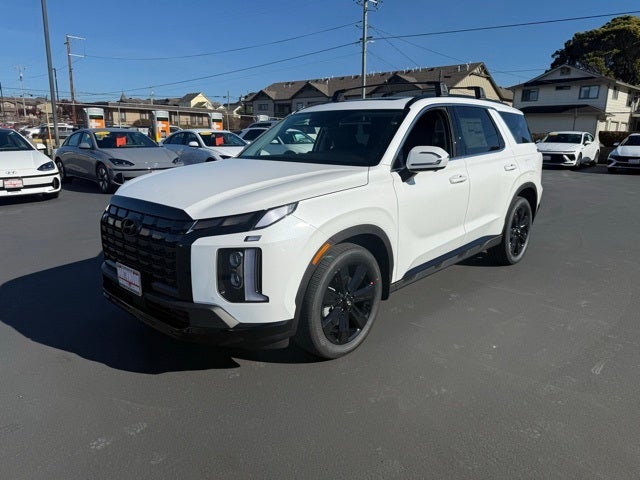 2025 Hyundai PALISADE XRT